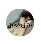 あすっぺらんらん（個別スタンプ：2）