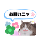 アラン君②（個別スタンプ：2）