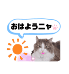 アラン君②（個別スタンプ：3）