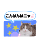 アラン君②（個別スタンプ：4）