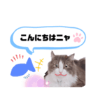 アラン君②（個別スタンプ：5）