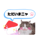 アラン君②（個別スタンプ：6）