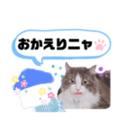 アラン君②（個別スタンプ：7）