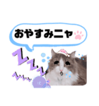 アラン君②（個別スタンプ：8）