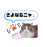 アラン君②（個別スタンプ：9）