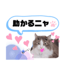アラン君②（個別スタンプ：11）