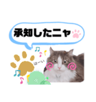 アラン君②（個別スタンプ：12）