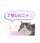 アラン君②（個別スタンプ：15）