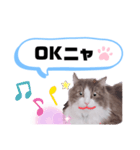 アラン君②（個別スタンプ：16）