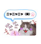 アラン君②（個別スタンプ：17）
