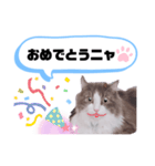 アラン君②（個別スタンプ：18）