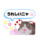 アラン君②（個別スタンプ：19）