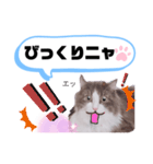 アラン君②（個別スタンプ：20）