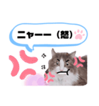 アラン君②（個別スタンプ：21）