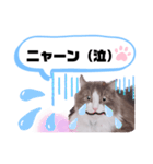 アラン君②（個別スタンプ：22）