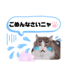 アラン君②（個別スタンプ：24）