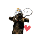 ねこのイヴちゃん（個別スタンプ：1）