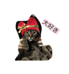 ねこのイヴちゃん（個別スタンプ：13）