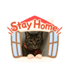ねこのイヴちゃん（個別スタンプ：14）
