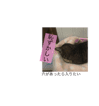 ねこのイヴちゃん（個別スタンプ：17）
