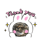 ねこのイヴちゃん（個別スタンプ：23）