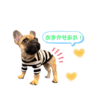 フレンチブルドッグ の うなじゅう（個別スタンプ：16）