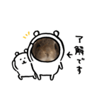 晴くま＆杏くま（個別スタンプ：2）