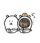 晴くま＆杏くま（個別スタンプ：4）