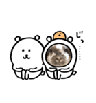 晴くま＆杏くま（個別スタンプ：5）