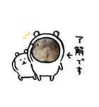晴くま＆杏くま（個別スタンプ：9）