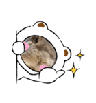 晴くま＆杏くま（個別スタンプ：11）