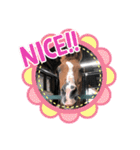 可愛くて面白い馬5（個別スタンプ：5）
