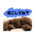 HAWAIIAN DOG（個別スタンプ：3）