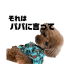 HAWAIIAN DOG（個別スタンプ：5）