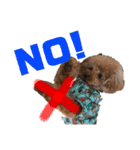 HAWAIIAN DOG（個別スタンプ：6）