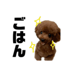 HAWAIIAN DOG（個別スタンプ：8）