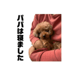 HAWAIIAN DOG（個別スタンプ：10）