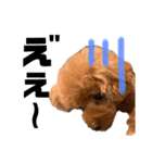 HAWAIIAN DOG（個別スタンプ：12）