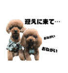 HAWAIIAN DOG（個別スタンプ：13）