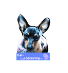 ラブリーミニピンズ（個別スタンプ：1）