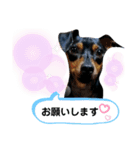 ラブリーミニピンズ（個別スタンプ：4）