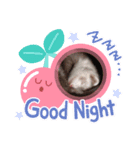 フェレットとハリネズミ（個別スタンプ：4）