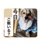 TEToちゃん（個別スタンプ：5）