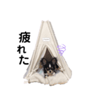 くうたのかわいいスタンプ（個別スタンプ：1）