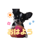くうたのかわいいスタンプ（個別スタンプ：3）