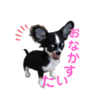 くうたのかわいいスタンプ（個別スタンプ：4）
