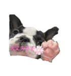 可愛いパンくん2（個別スタンプ：4）