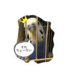 ヒメちゃんガンバスタンプ2（個別スタンプ：3）