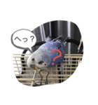 ヒメちゃんガンバスタンプ2（個別スタンプ：5）