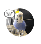 ヒメちゃんガンバスタンプ2（個別スタンプ：6）